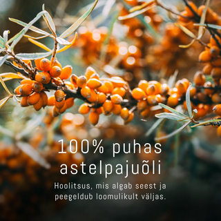 100% Astelpajuõli kapslid | Oomega 3,6,7,9